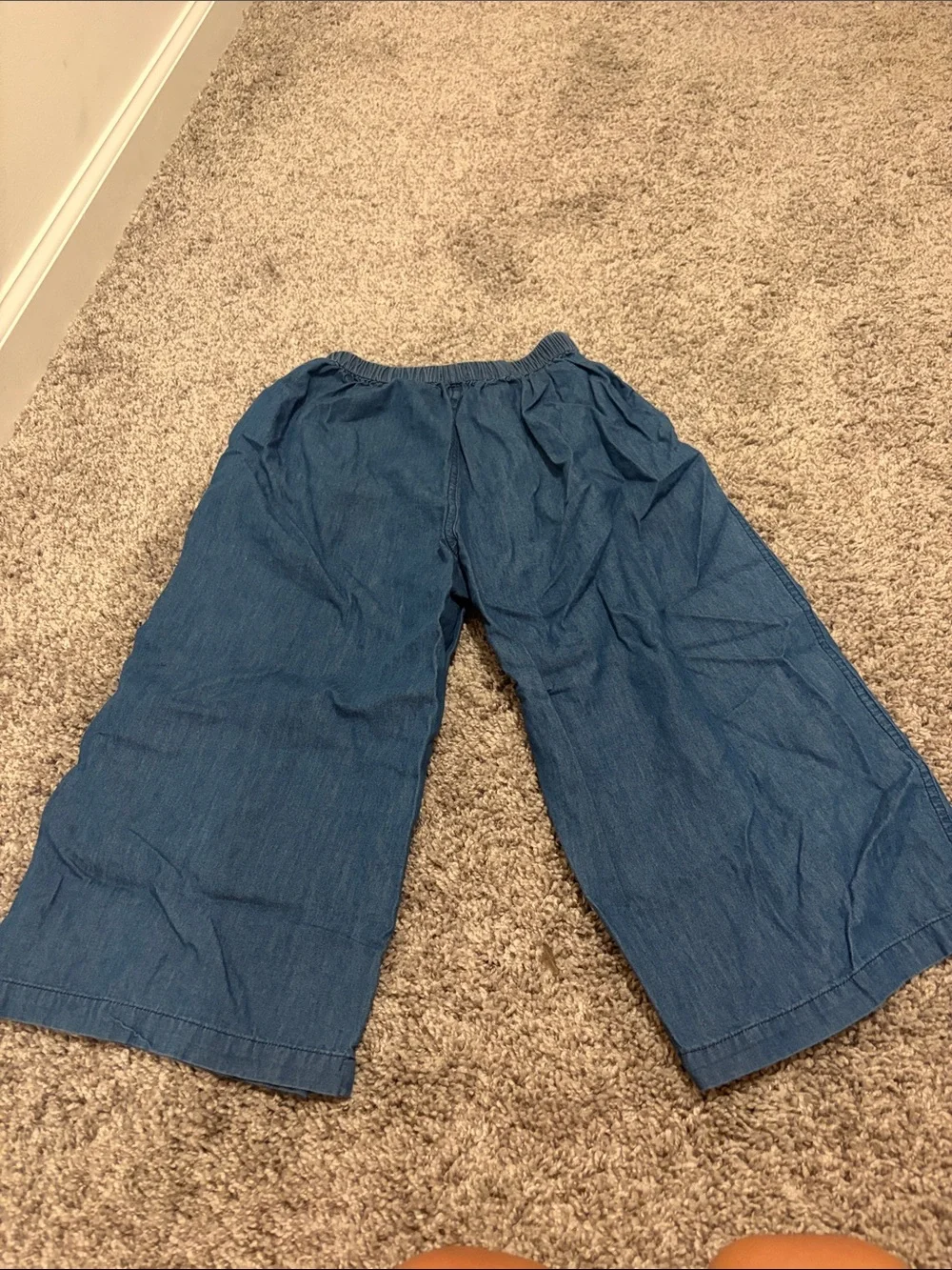 EUC Pink Chicken Wylie Wide Leg Pant in Chambray Sz 5